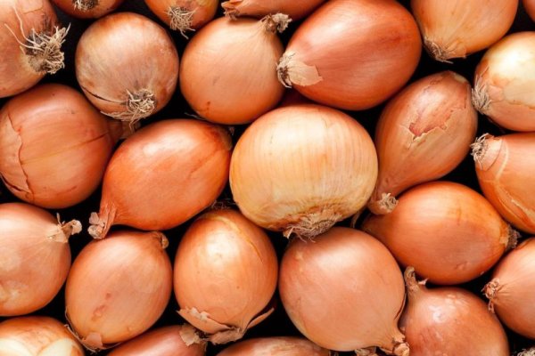 Kraken onion вход