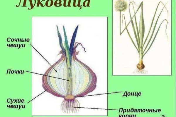 Даркнет официальный сайт вход