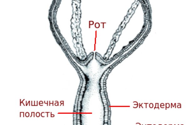 Как пополнять кракен тор