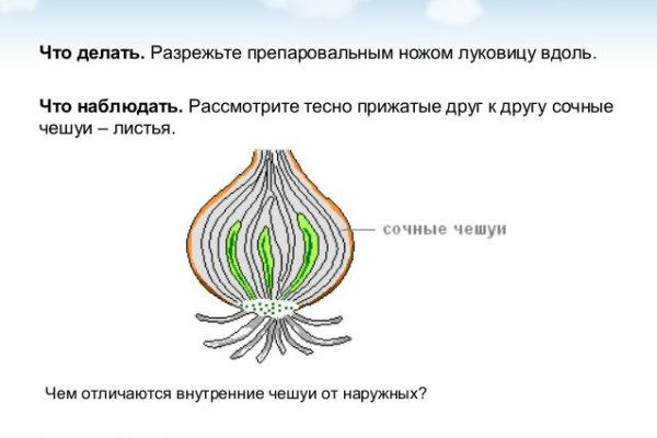 Кракен верное зеркало