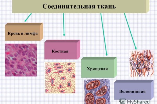 Кракен вход ссылка kraken torion net