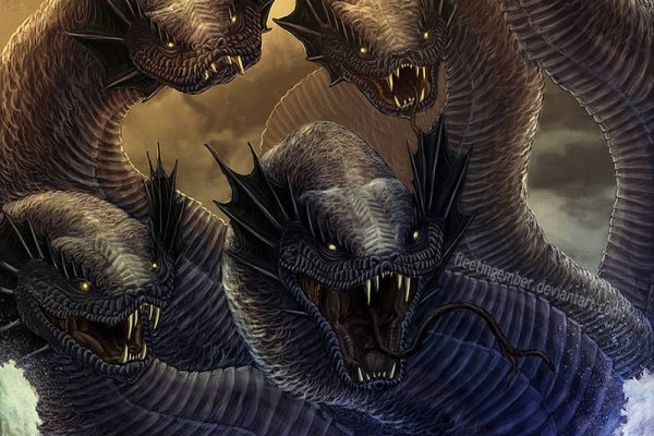 Kraken 19at