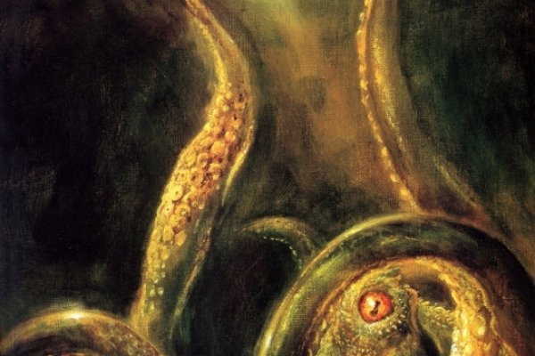 Kraken ссылка на сайт актуальная